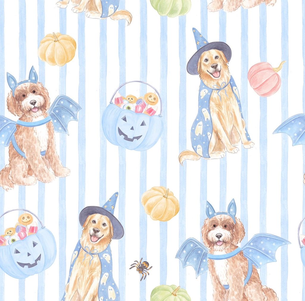 Trick or Treat Goldens Zippy